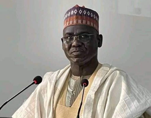 Declare June 12 World Democracy Day, Buratai urges UN