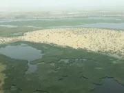 Nigeria seeks UN’s support on recovery, stabilisation of Lake Chad Basin