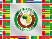 As ECOWAS Takes Action to Halt Niger Junta ~ Emeka E. Odidika