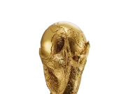 War, Politics, and Football Collide as FIFA Declares: Iran Will Play